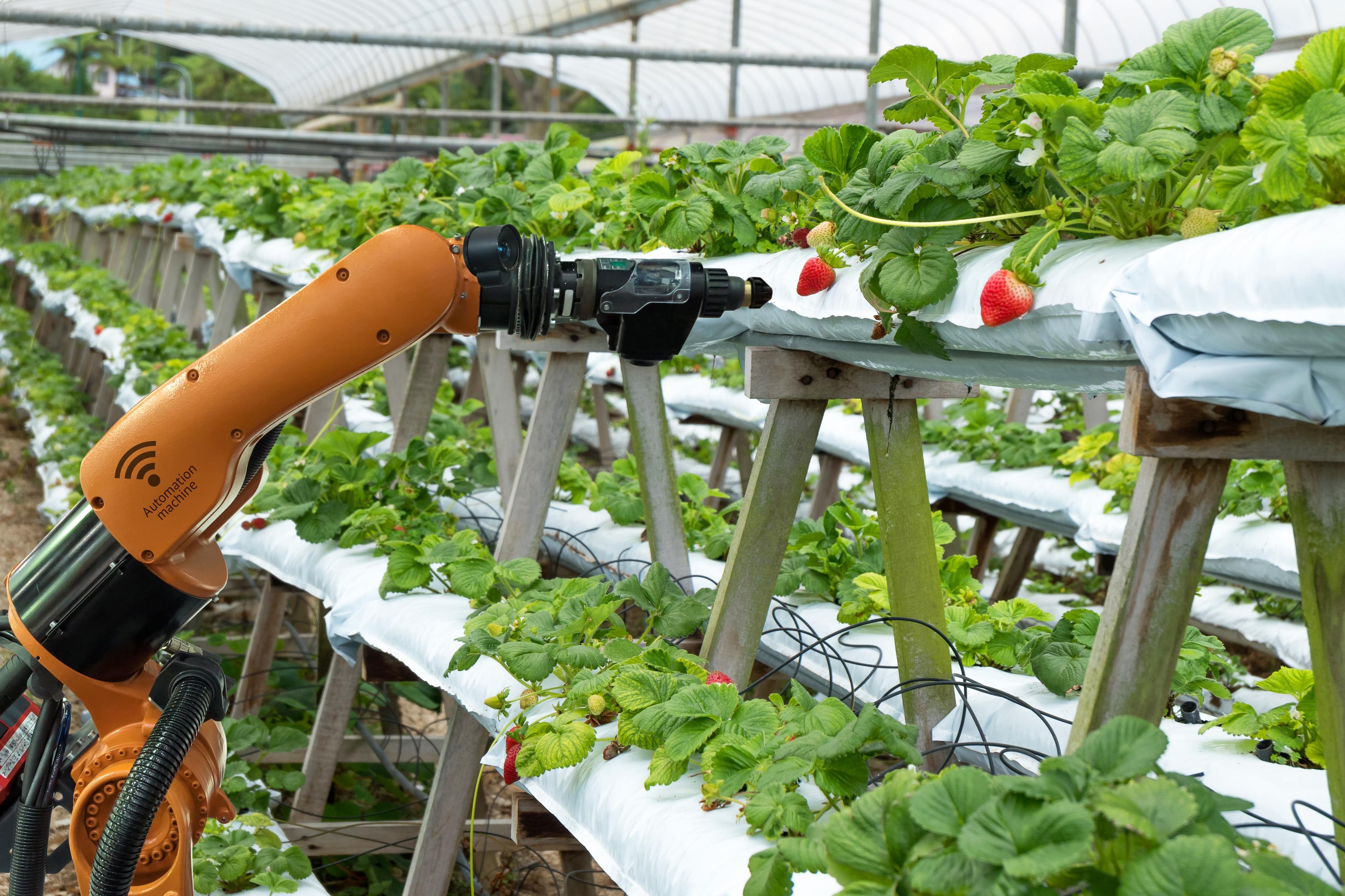 Mechatronics and Agriculture in farm planning